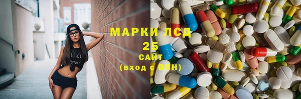 крисы Алзамай