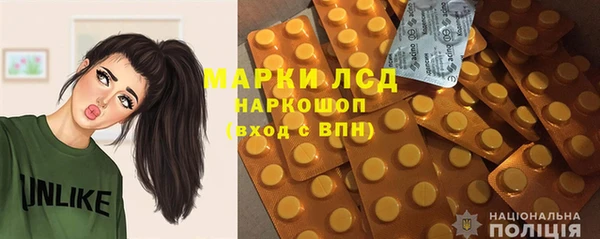 крисы Алзамай