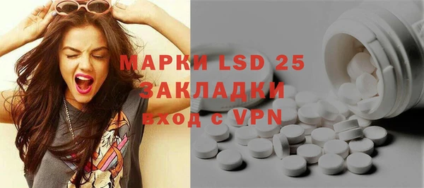 крисы Алзамай