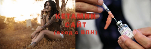 крисы Алзамай