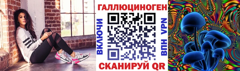 omg как войти  Чадан  Псилоцибиновые грибы Cubensis 